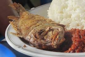 PLAIN RICE AND FISH